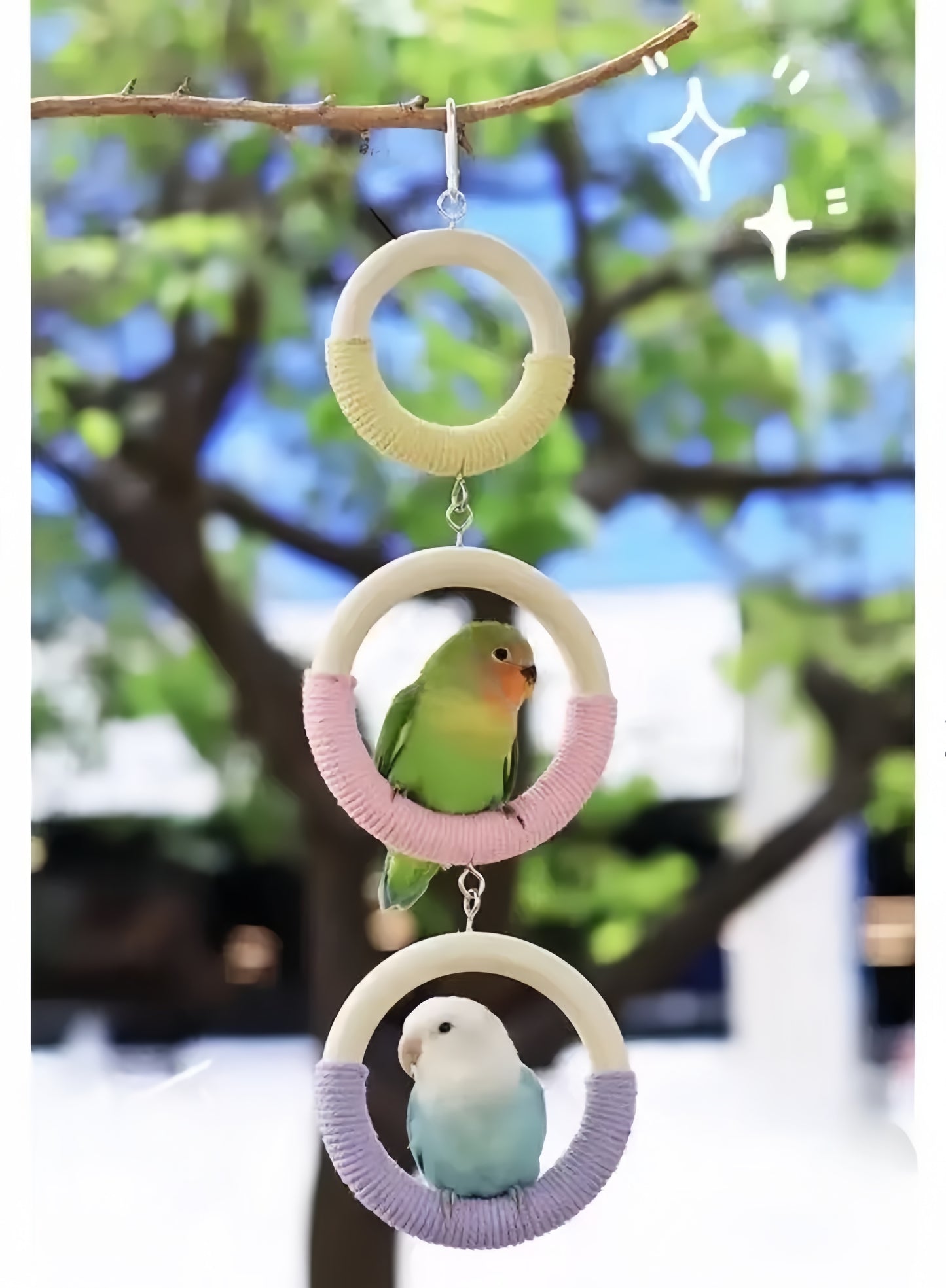 Rainbow Swing Perch for Parrots