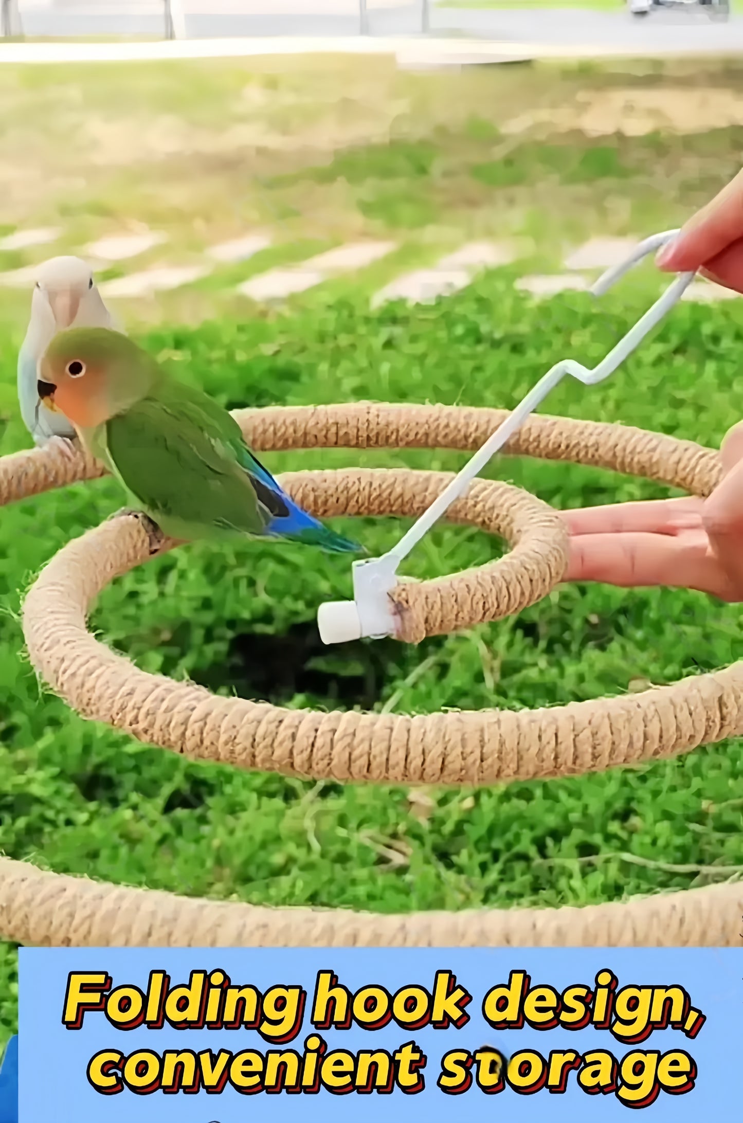 Natural Spiral Climbing Perch for Large Parrots