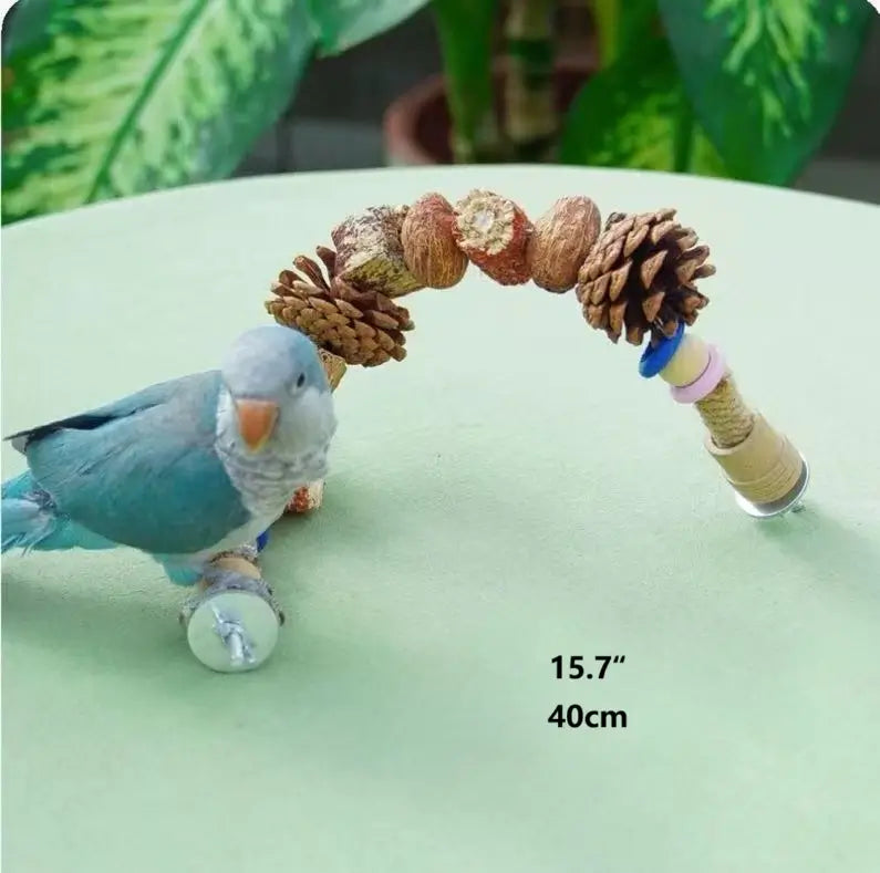 Natural Nut & Wood Chew Toy