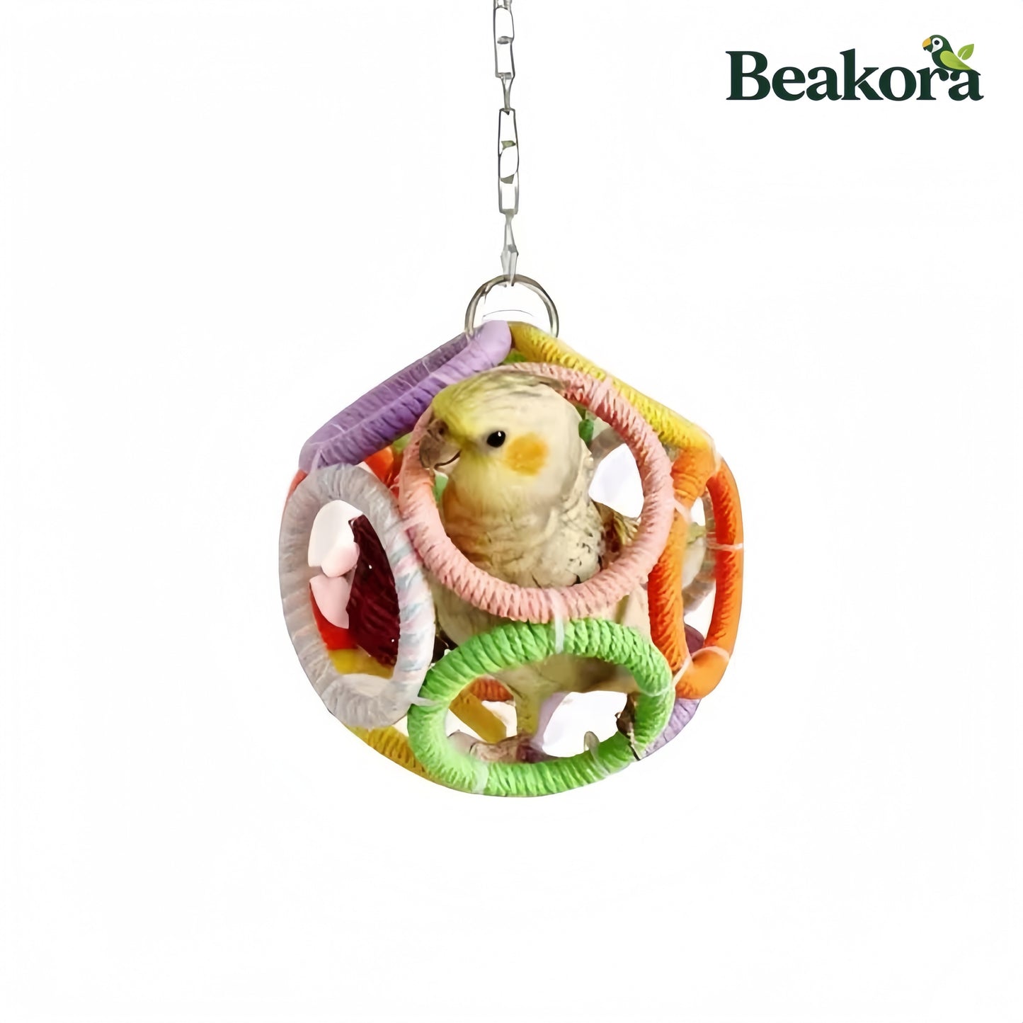 Exotic Ball Parrot Perch Swing