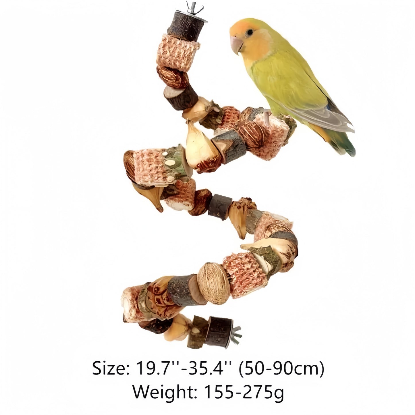 Natural Nut & Wood Chew Toy