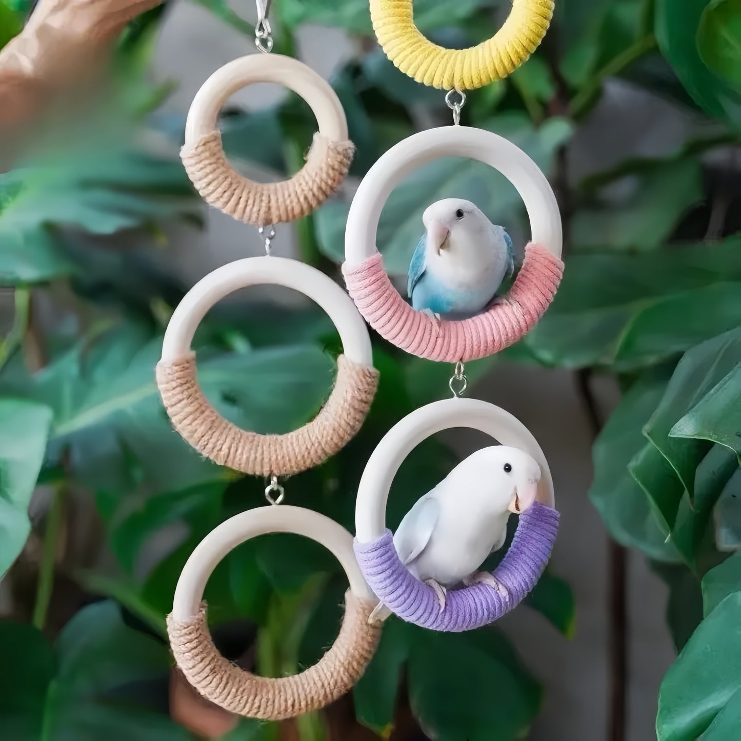 Rainbow Swing Perch for Parrots