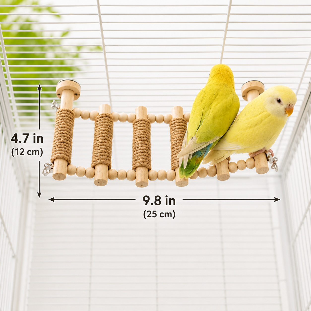 ColorPlay Climbing Ladder
