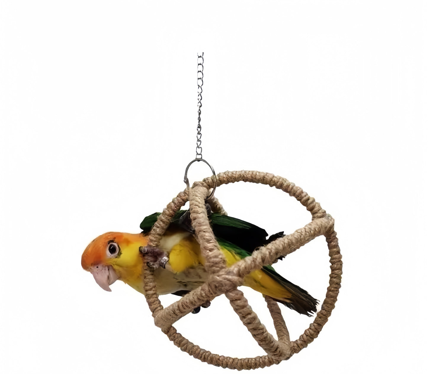 Exotic Ball Parrot Perch Swing