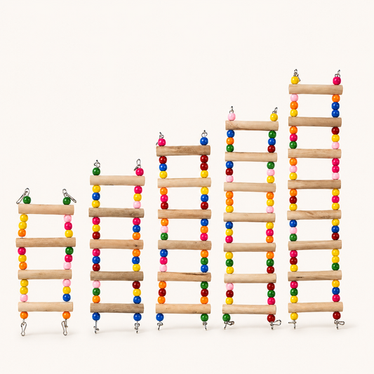 Rainbow Parrot Climbing & Play Ladder
