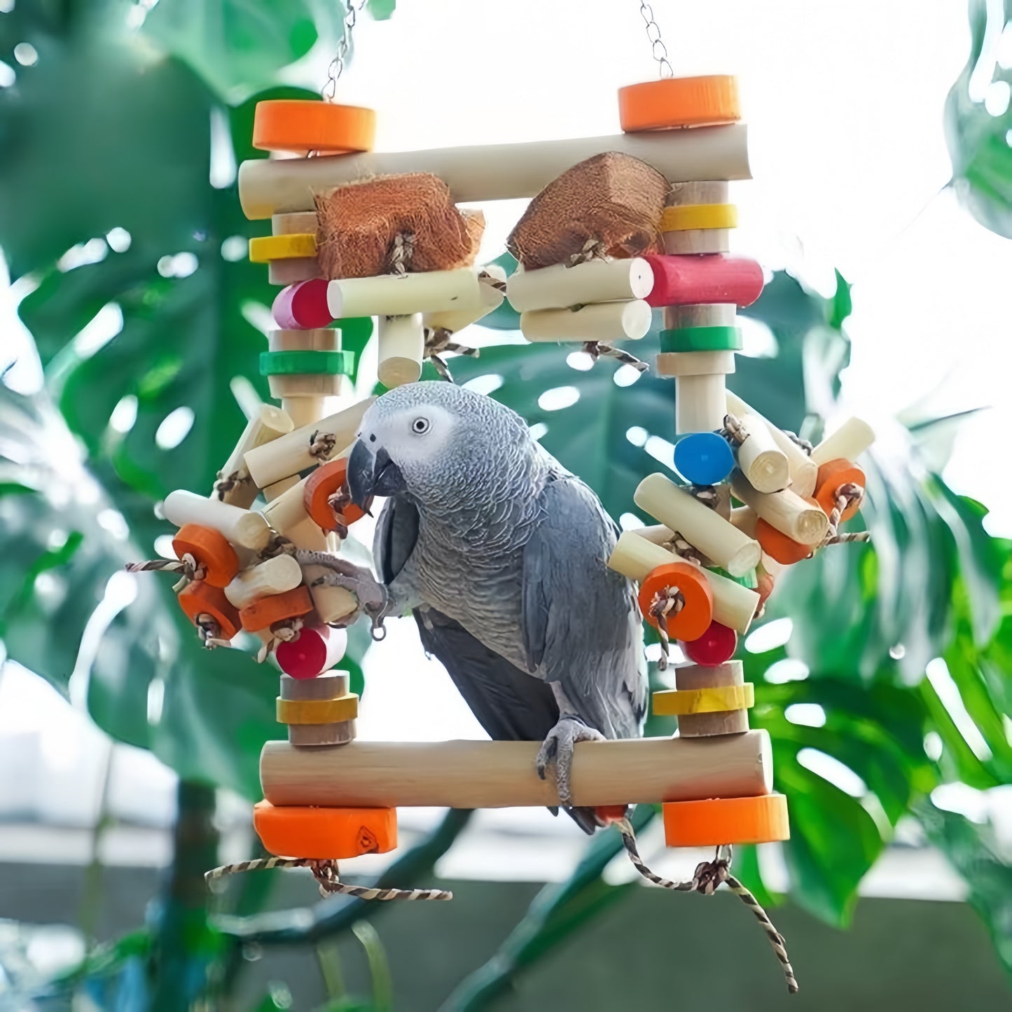 Wooden Swing Bridge Playground for Parrots