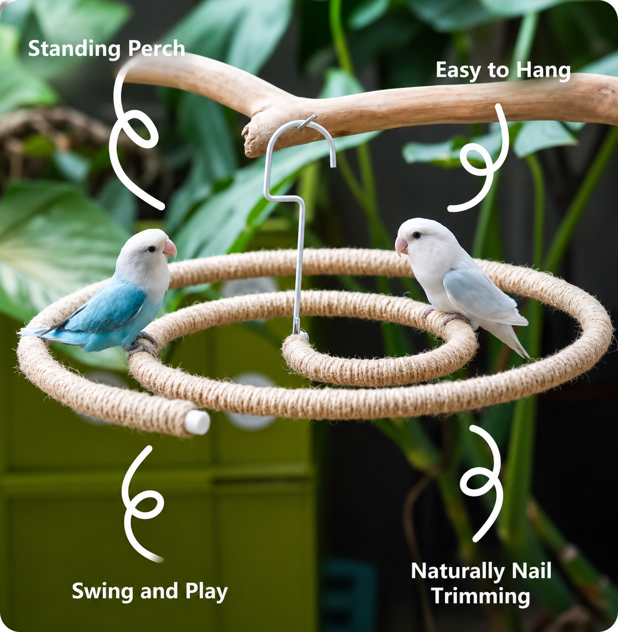 Natural Spiral Climbing Perch for Large Parrots