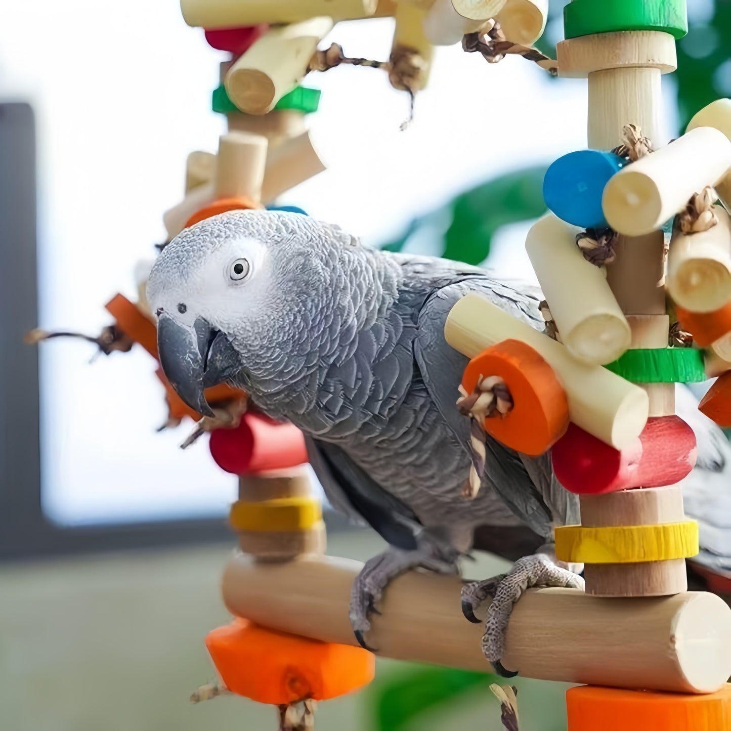 Wooden Swing Bridge Playground for Parrots