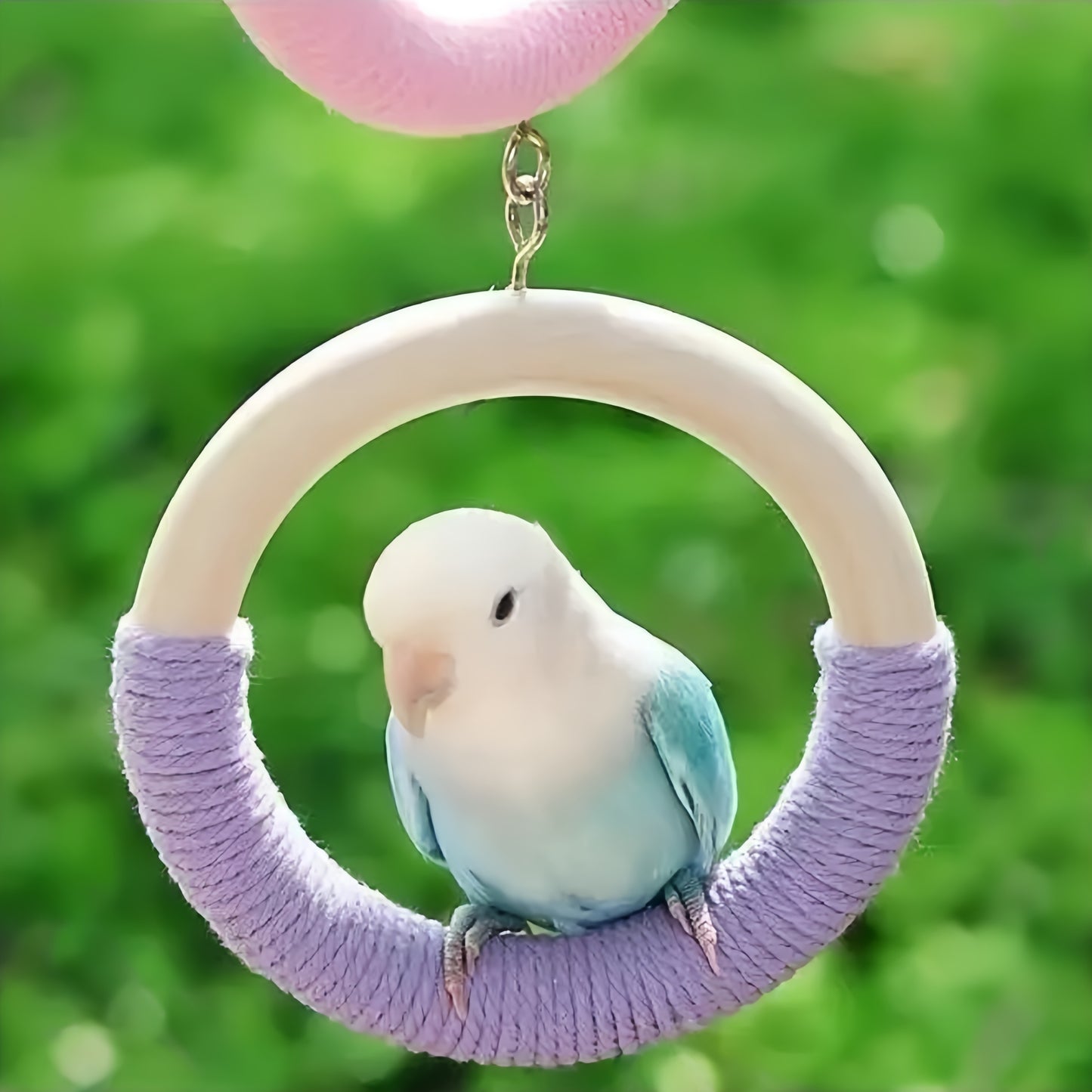 Rainbow Swing Perch for Parrots