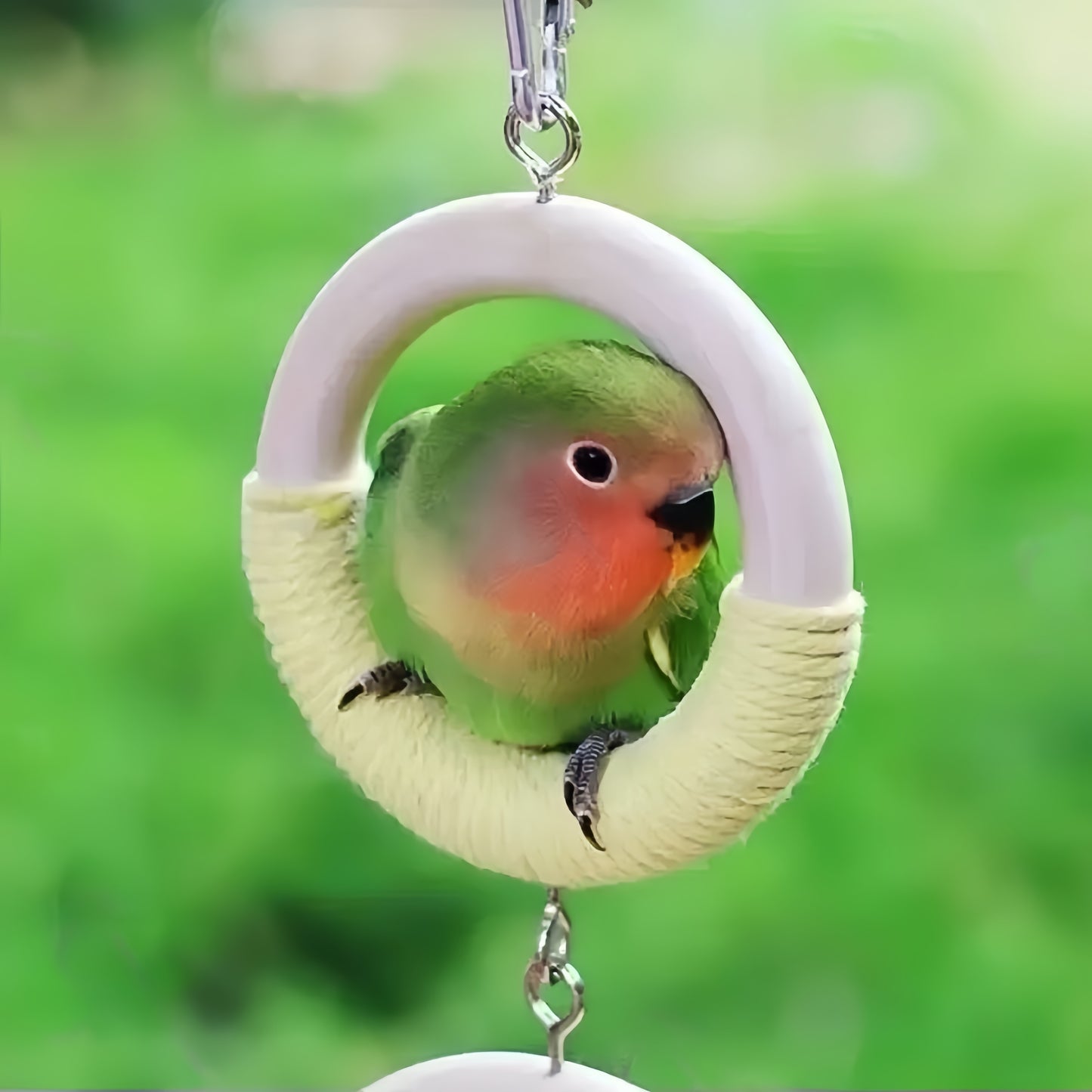 Rainbow Swing Perch for Parrots