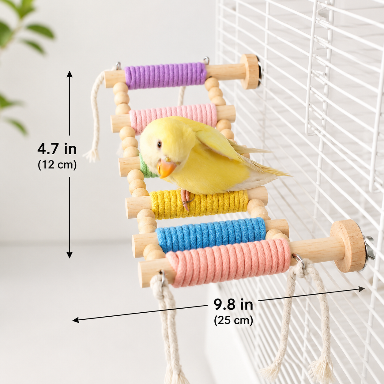 ColorPlay Climbing Ladder