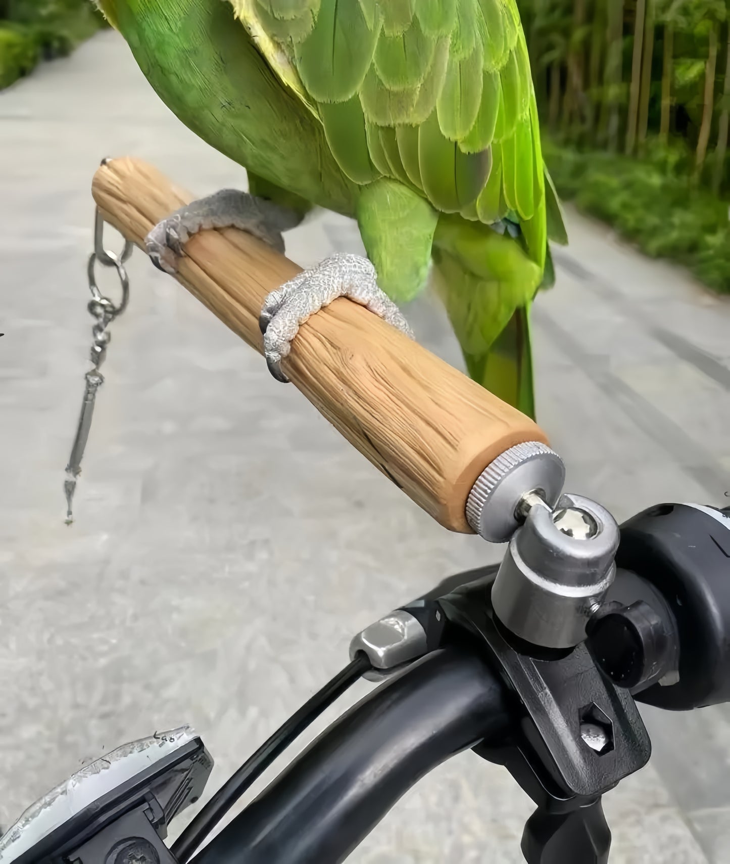 TravelMate Portable Perch