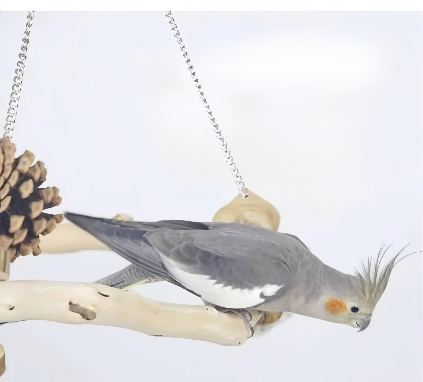 Triangle Swing Perch for Parrots