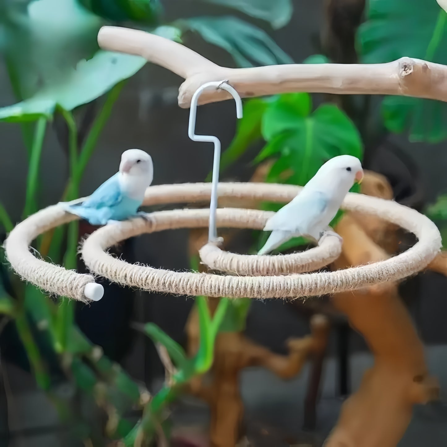 Natural Spiral Climbing Perch for Large Parrots