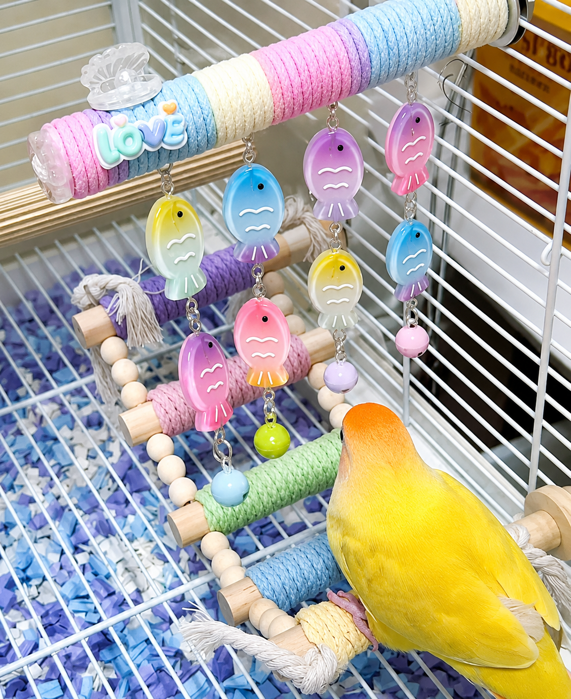 ColorPlay Climbing Ladder