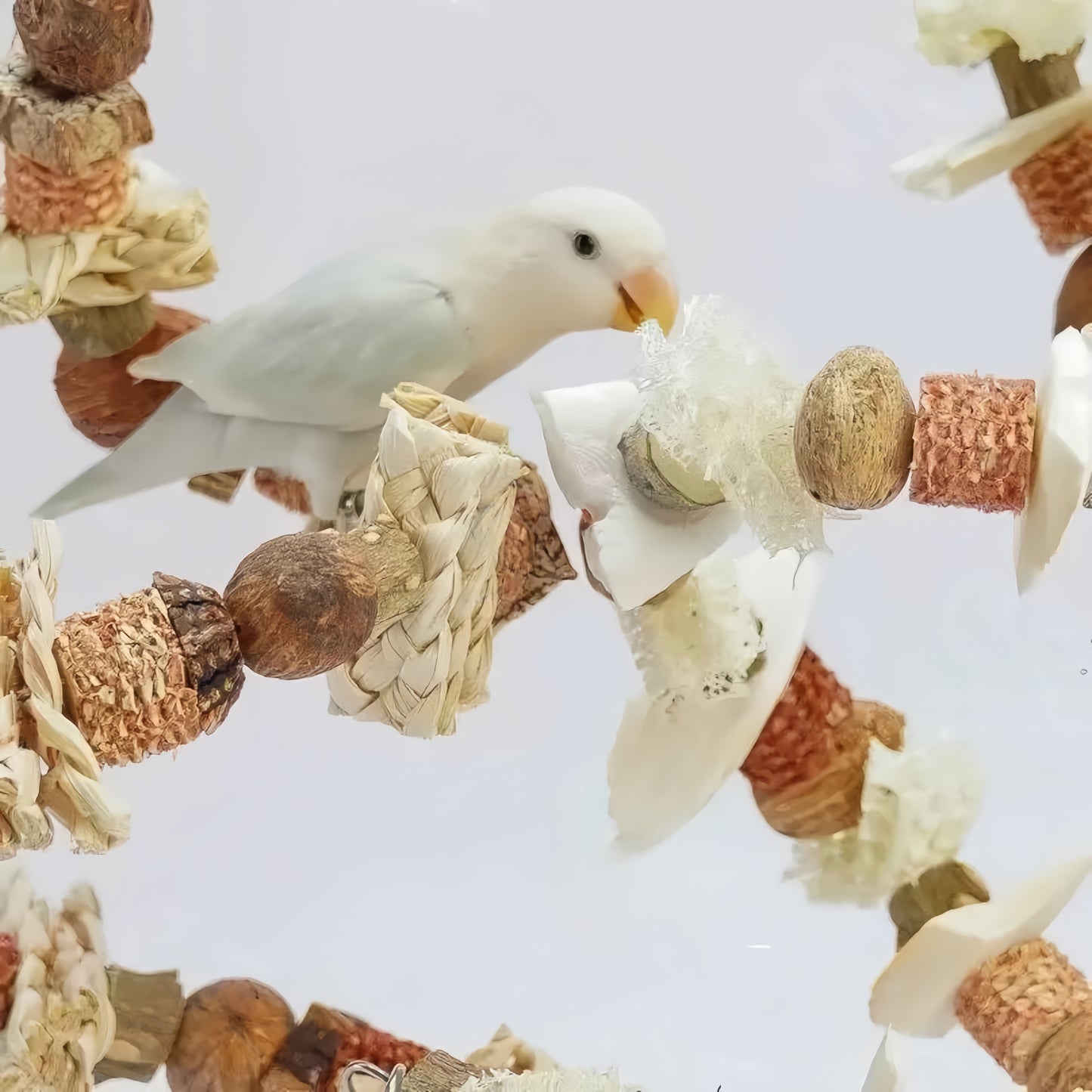 Fruit & Corn Foraging Kabob for Parrots