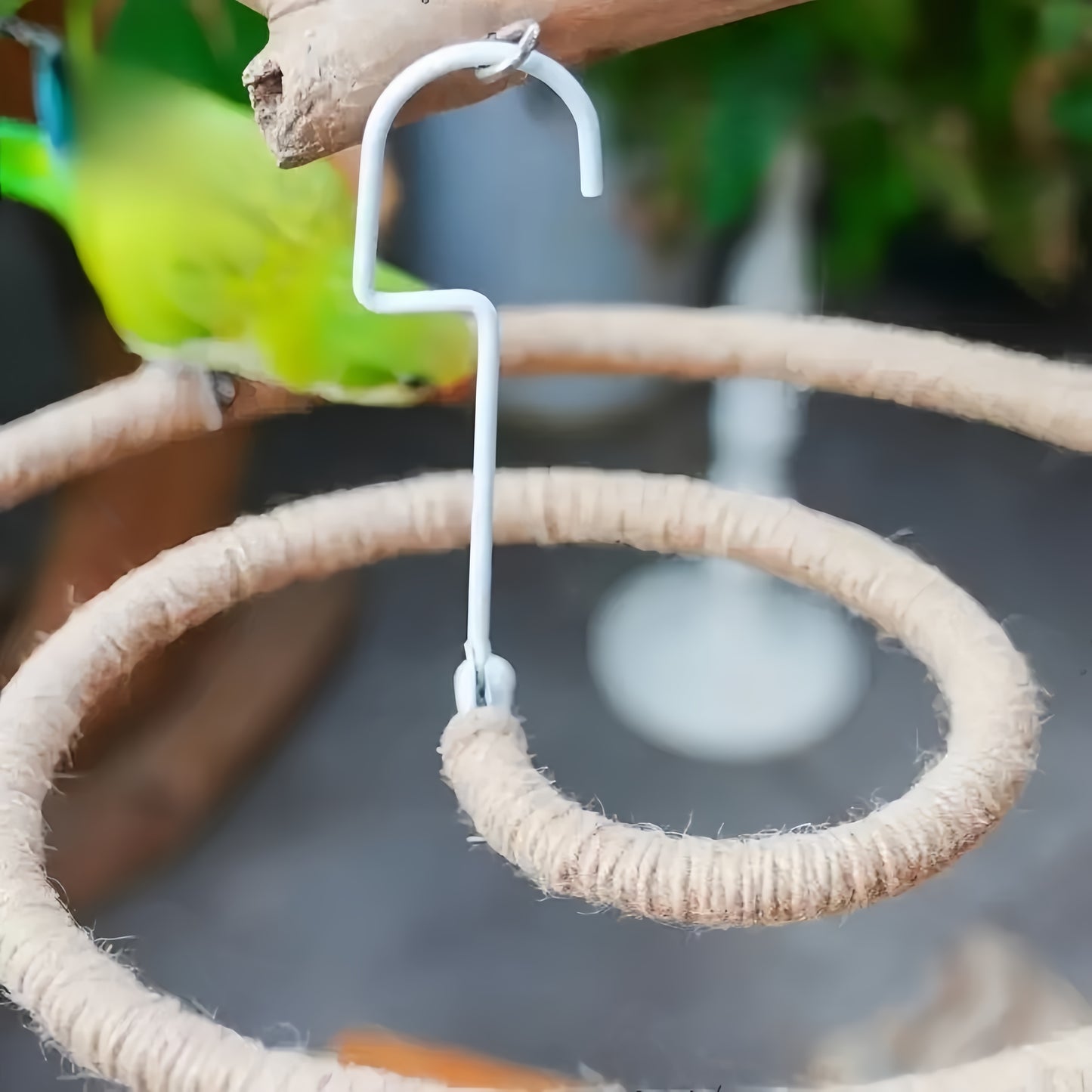Natural Spiral Climbing Perch for Large Parrots