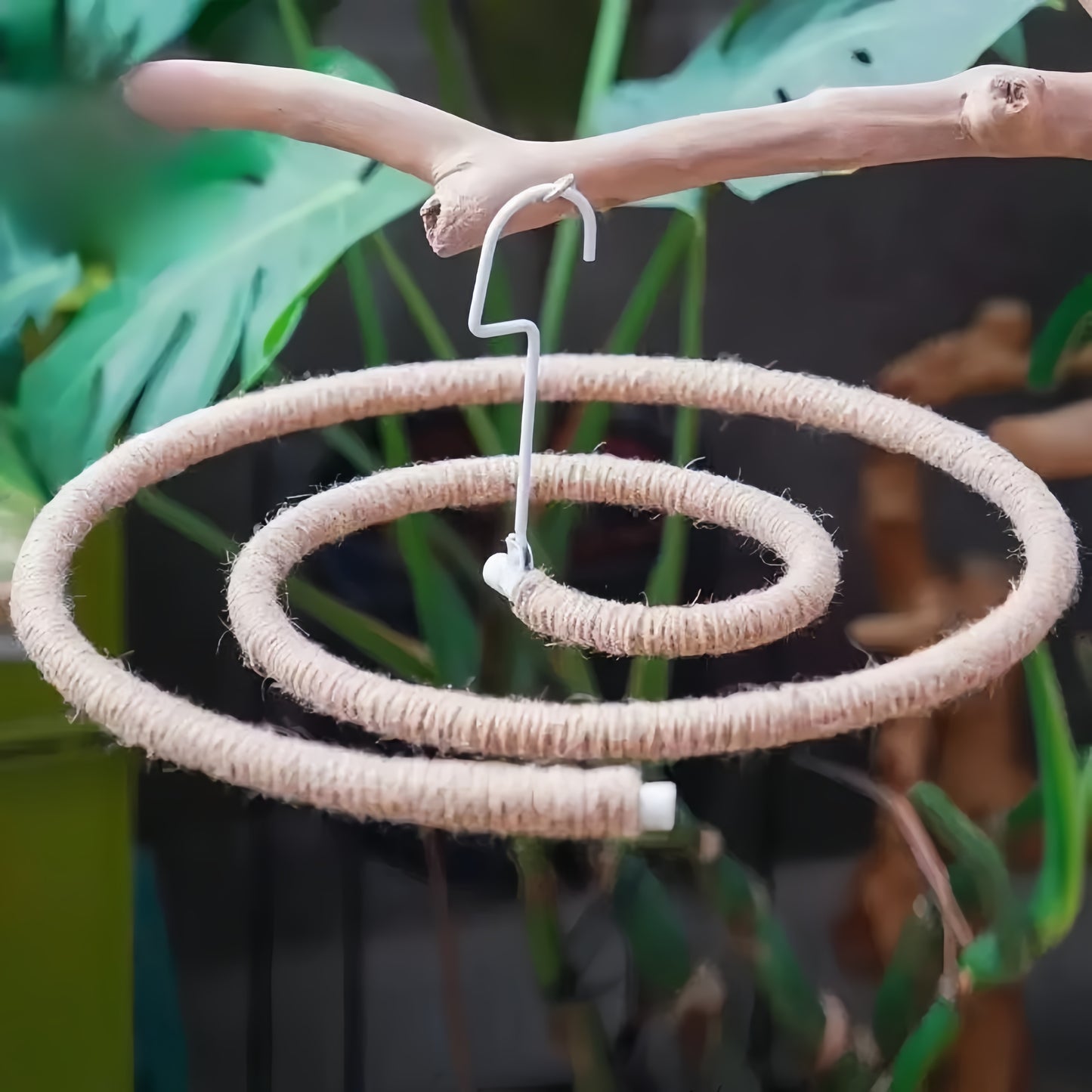 Natural Spiral Climbing Perch for Large Parrots