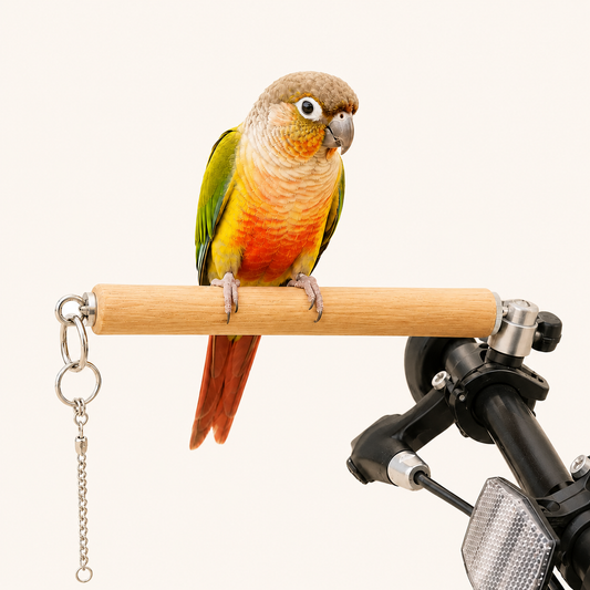 TravelMate Portable Perch