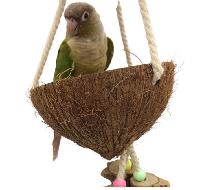 Coconut Shell Swing & Perch for Parrots