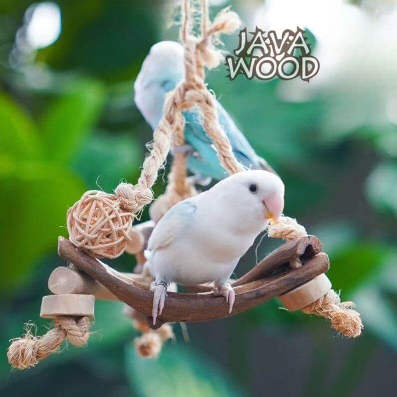 Java Wood Wicker Ball Swing for Parrots