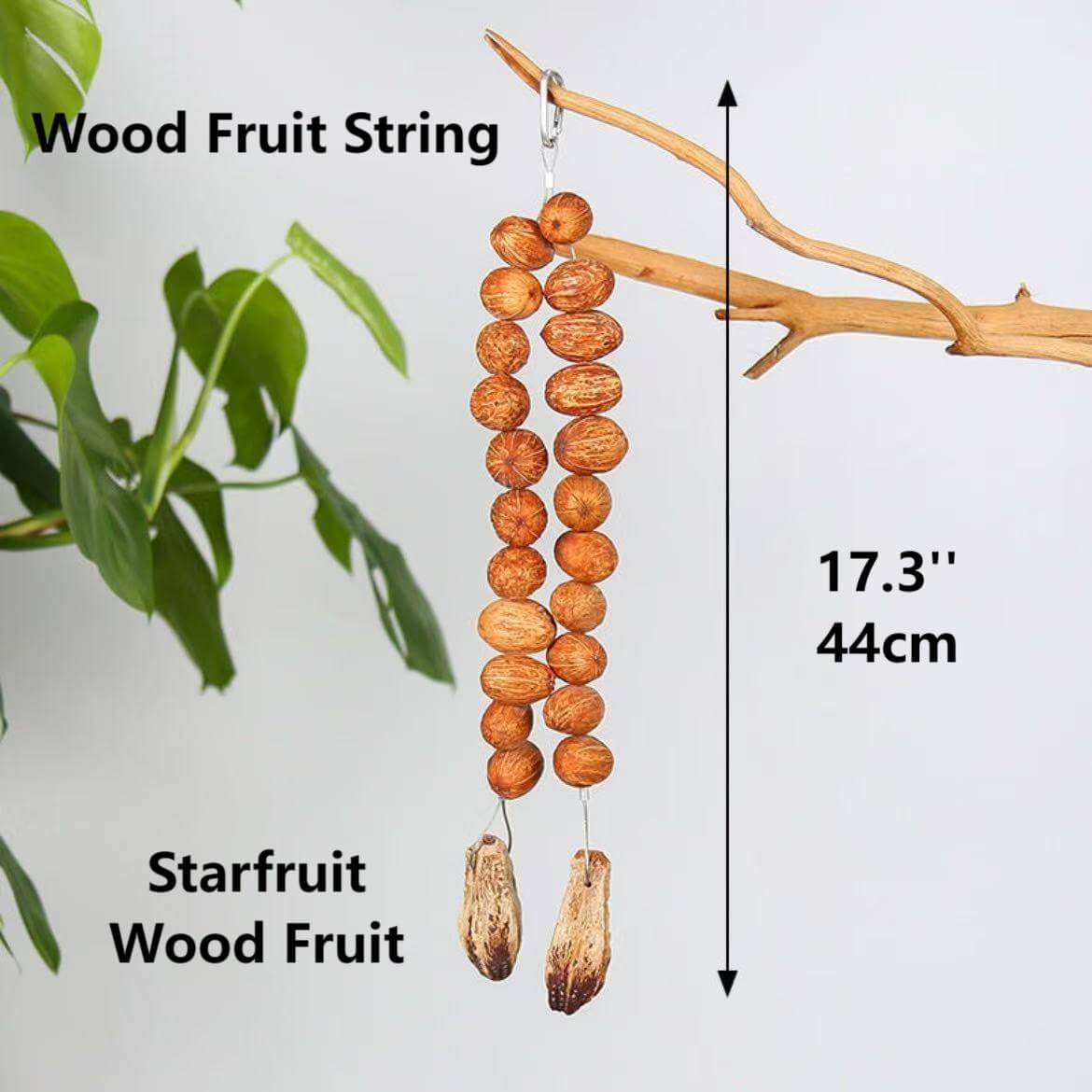 Fruity Crunch Chew Toy – Natural Bird Enrichment Treat