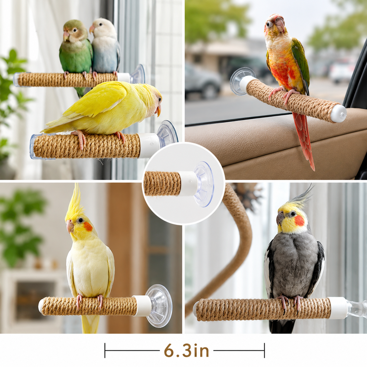 Suction Cup Window Bird Perch
