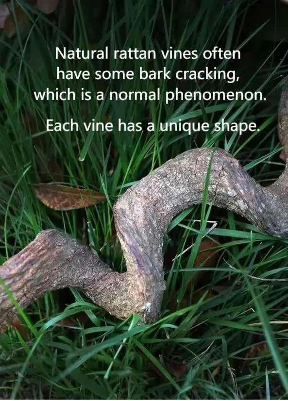 Starfruit Foraging Chew String
