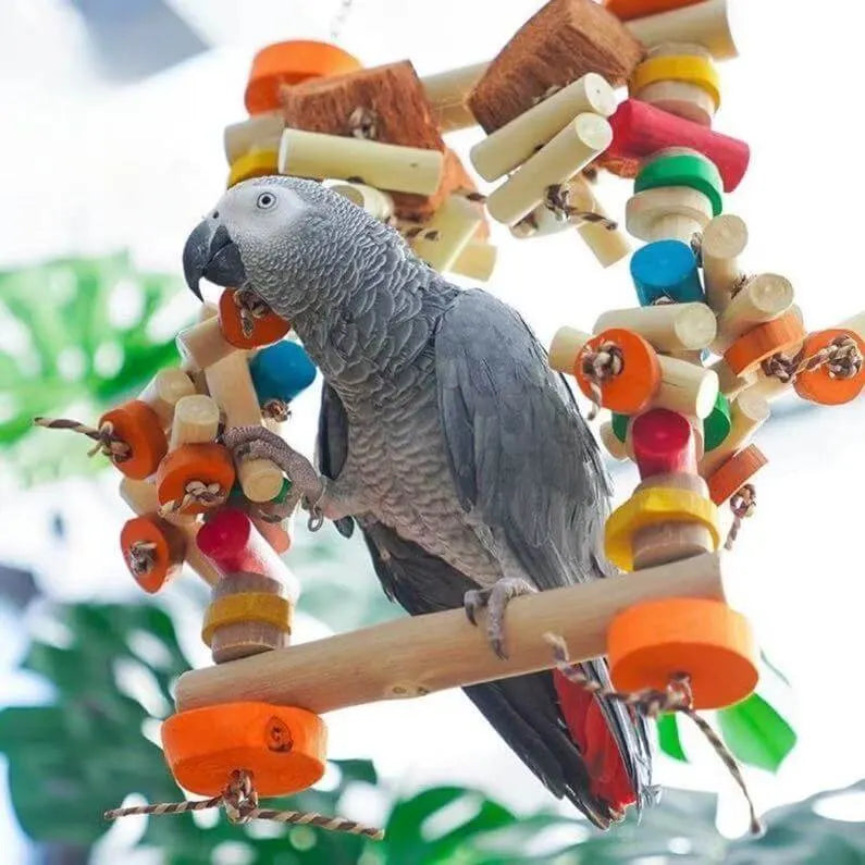 Wooden Swing Bridge Playground for Parrots
