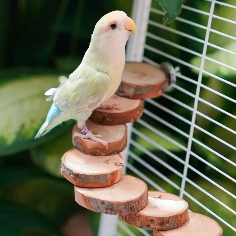 Natural Wood Climbing Ladder