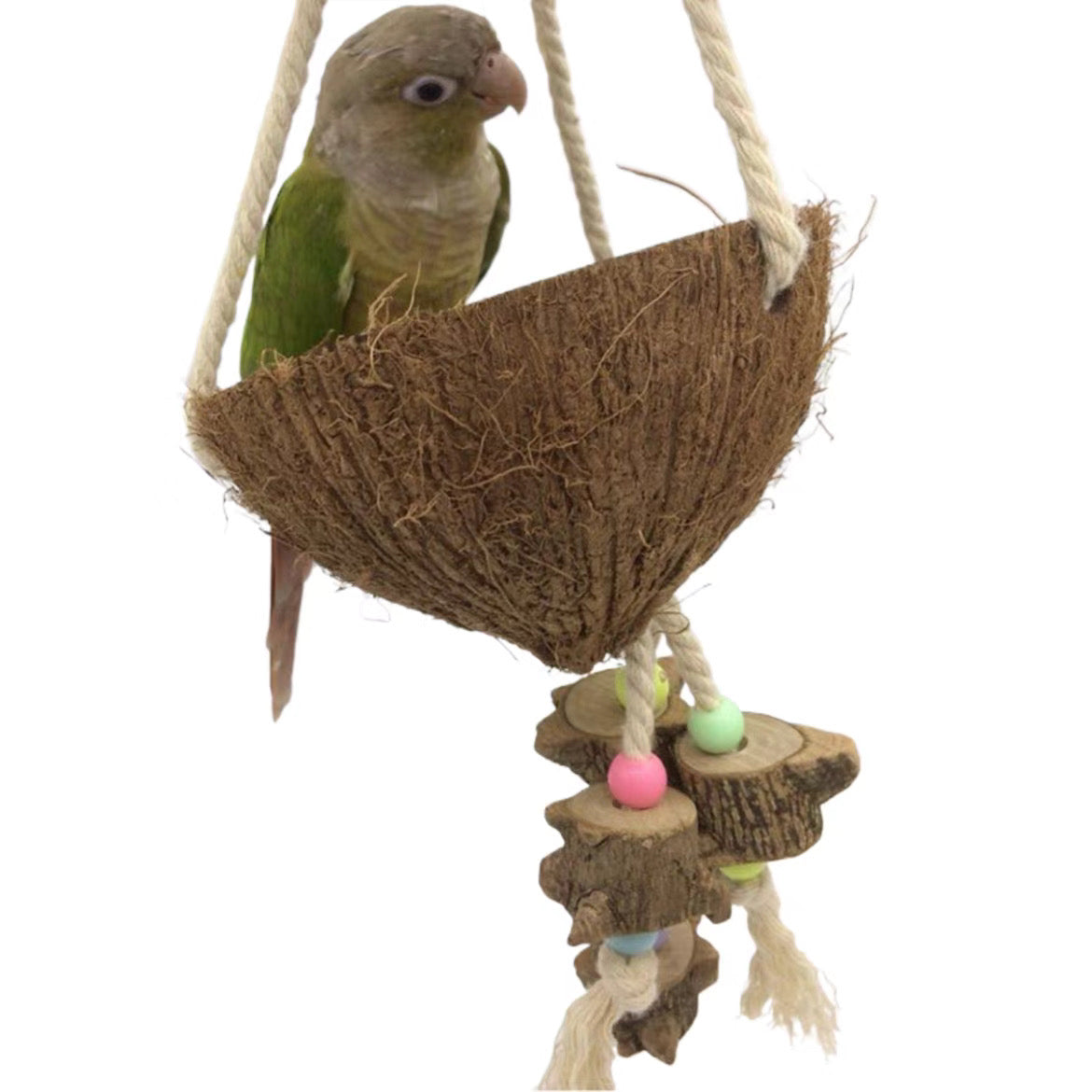 Coconut Shell Swing & Perch for Parrots