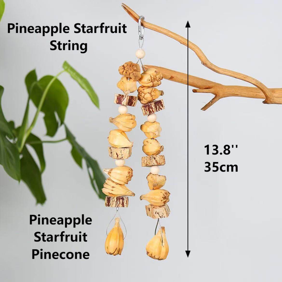 Fruity Crunch Chew Toy – Natural Bird Enrichment Treat