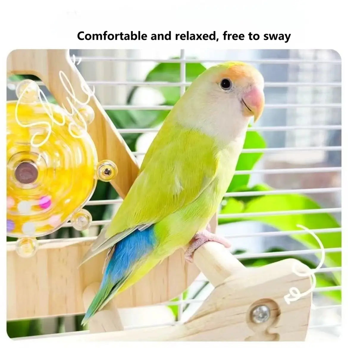 Pirate Ship Playground for Parrots