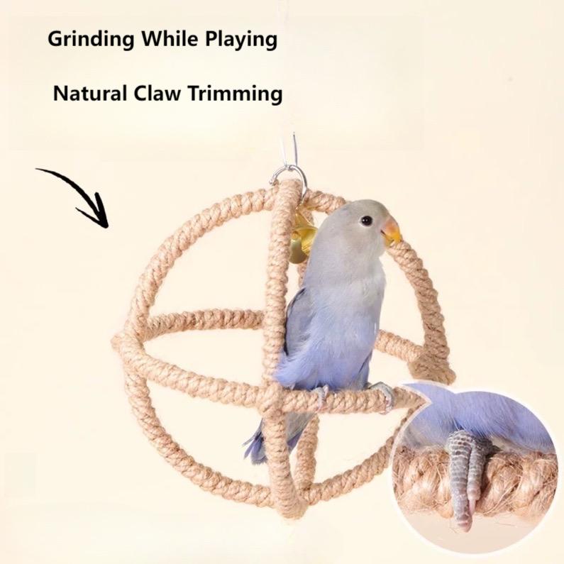 Exotic Ball Parrot Perch Swing