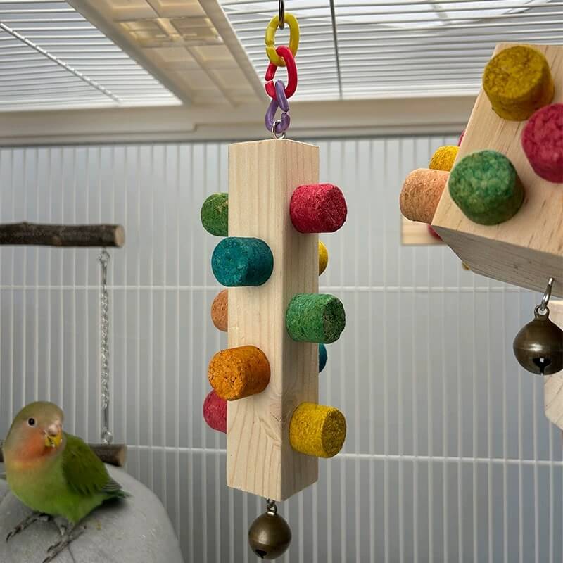 Chew & Discover Cube Toy