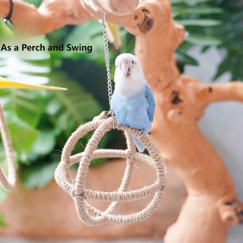 Exotic Ball Parrot Perch Swing