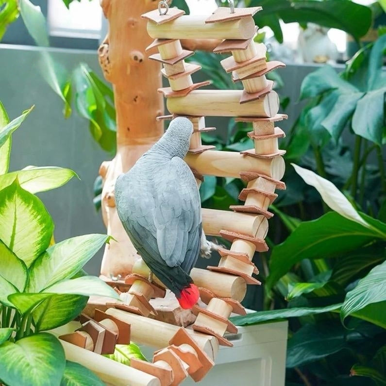 Natural Log Swing Perch for Large Parrots