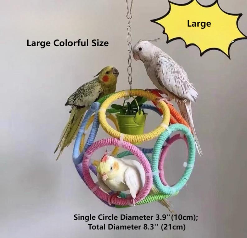 Exotic Ball Parrot Perch Swing