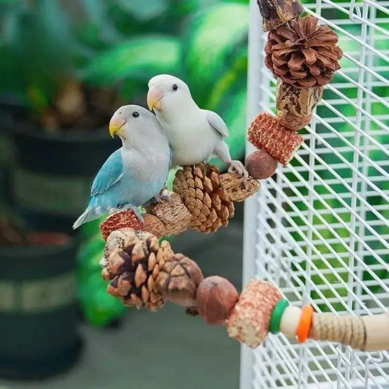 Natural Nut & Wood Chew Toy