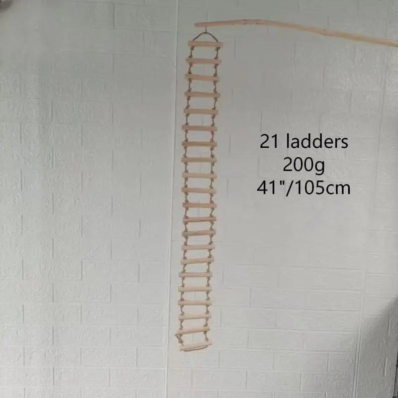 Rainbow Parrot Climbing & Play Ladder