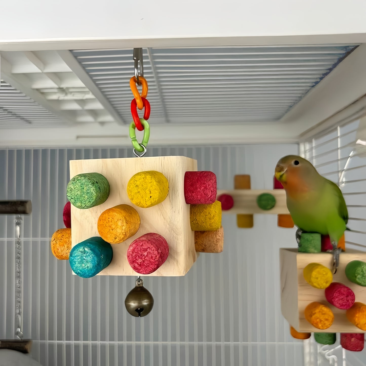 Chew & Discover Cube Toy