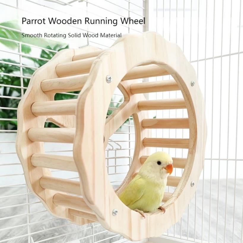 Natural Activity Wheel