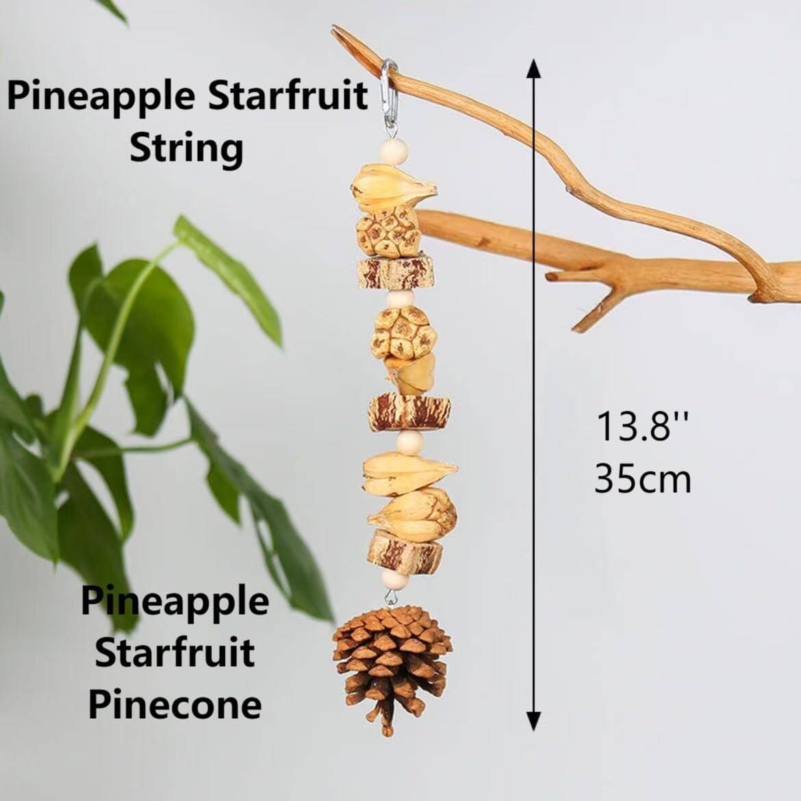 Fruity Crunch Chew Toy – Natural Bird Enrichment Treat