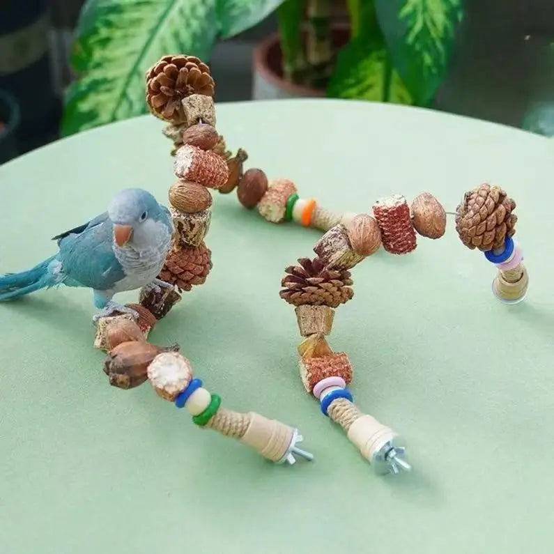 Natural Nut & Wood Chew Toy