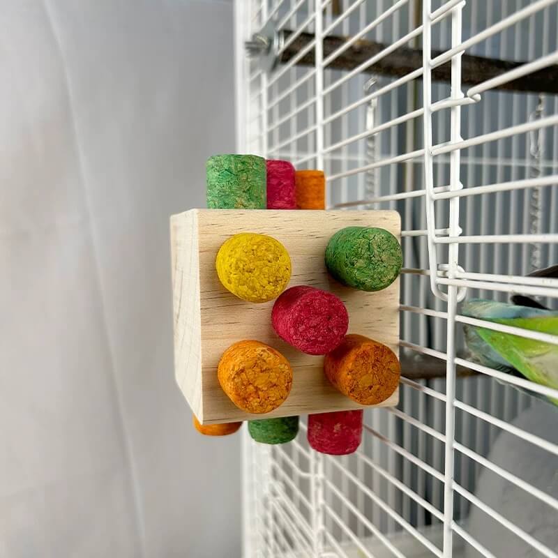 Chew & Discover Cube Toy