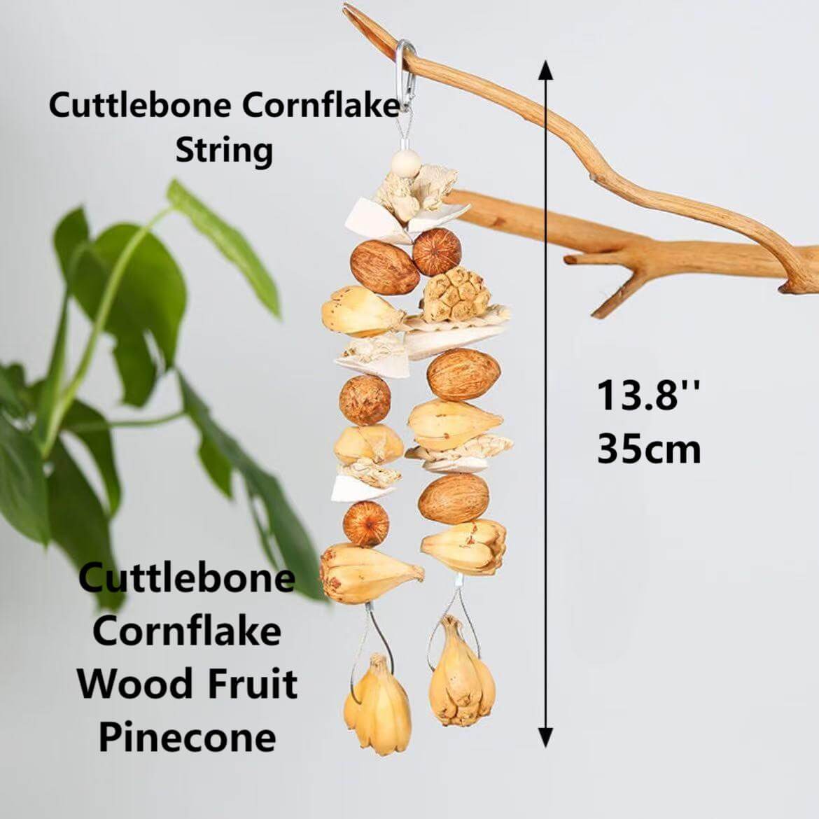 Fruity Crunch Chew Toy – Natural Bird Enrichment Treat
