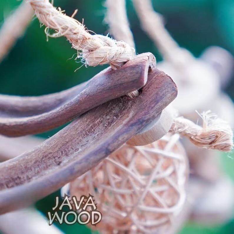 Java Wood Wicker Ball Swing for Parrots