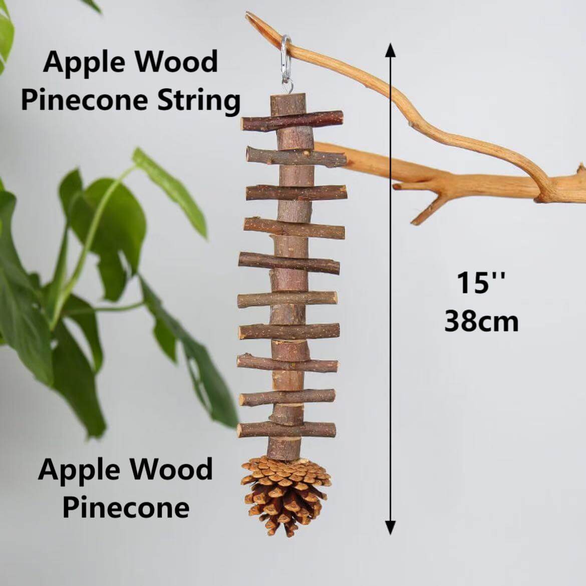 Fruity Crunch Chew Toy – Natural Bird Enrichment Treat