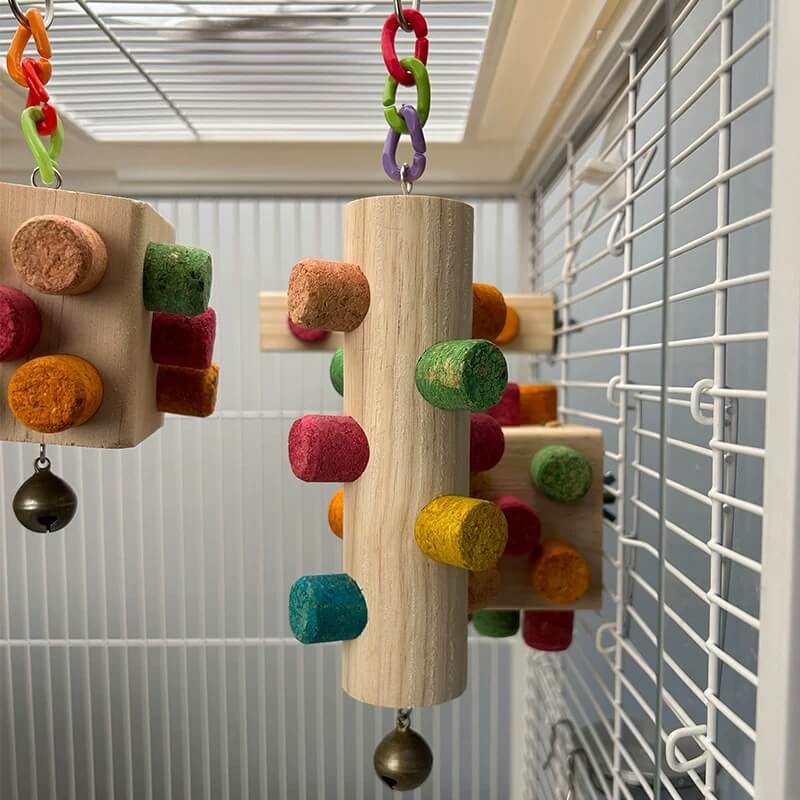 Chew & Discover Cube Toy