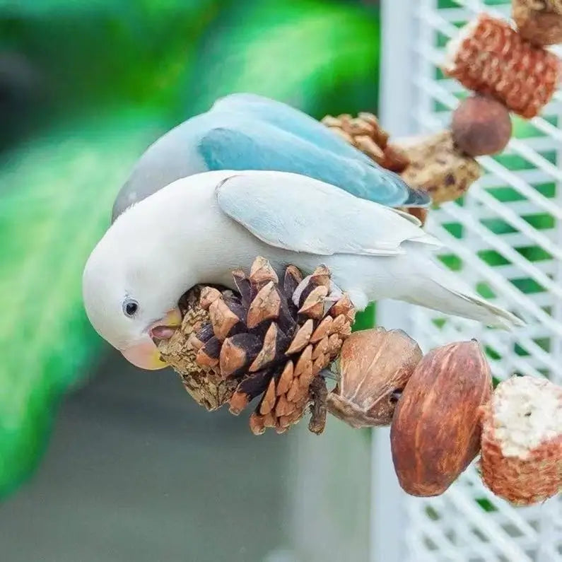 Natural Nut & Wood Chew Toy